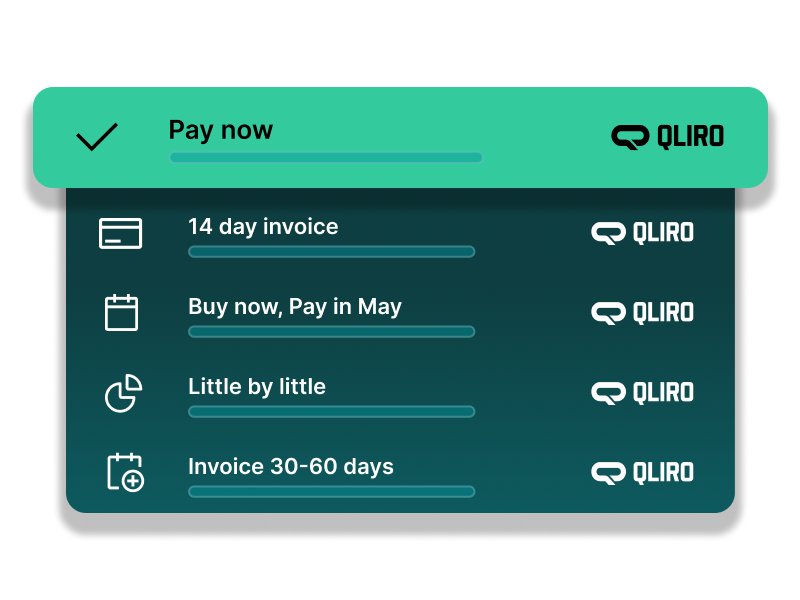 2PaymentMethods_PayNow_ENG