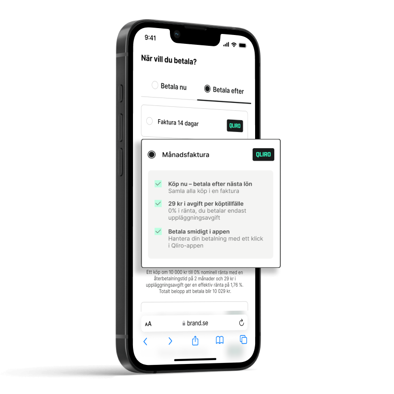 Monthly invoice_SE