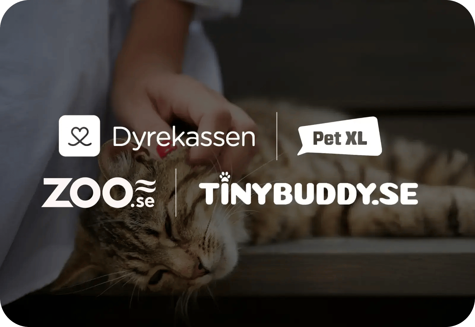 Petpawrgroup.CaseSida