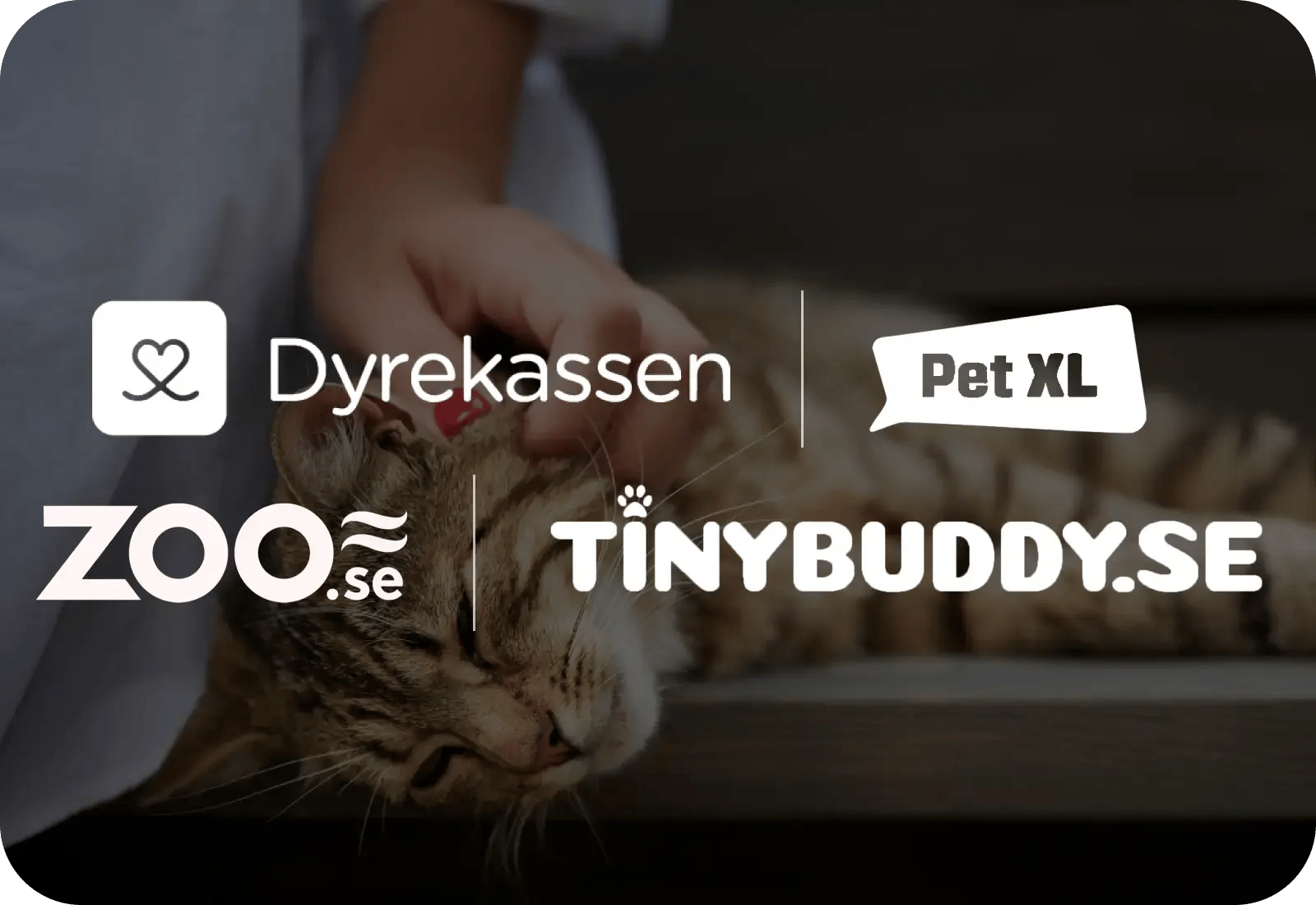 Petpawrgroup.Header3