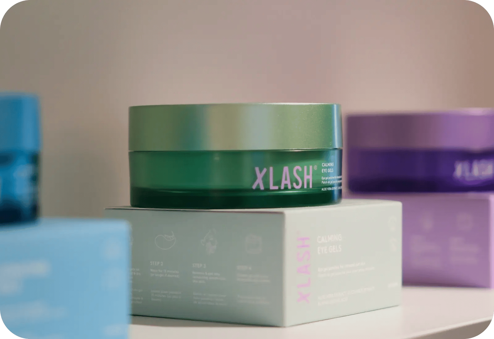 Xlash_header8